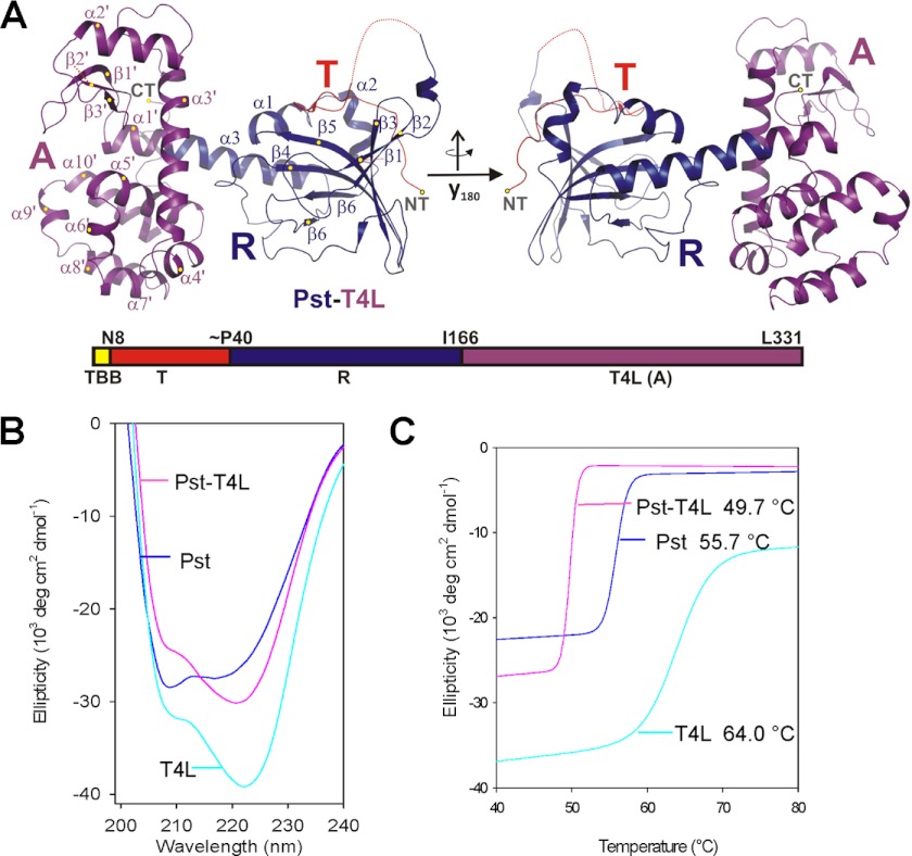 FIGURE 4.