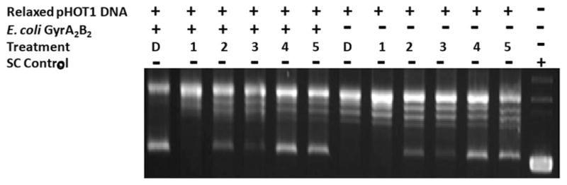 FIG. 6