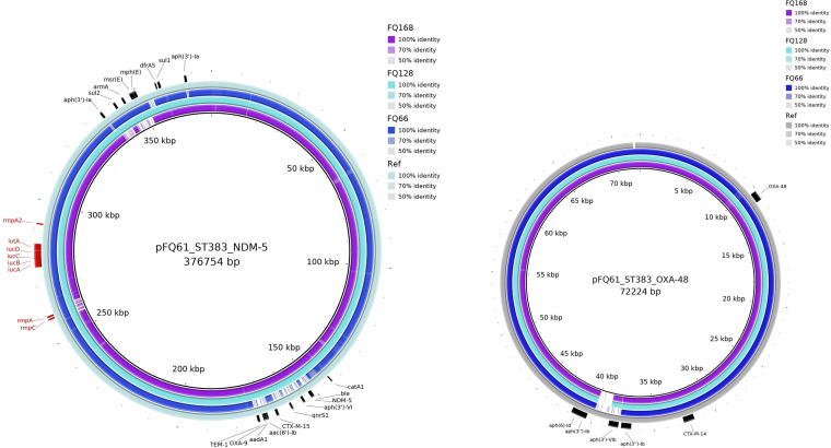 FIG 3