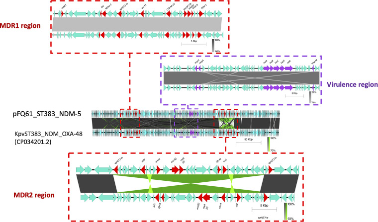 FIG 2