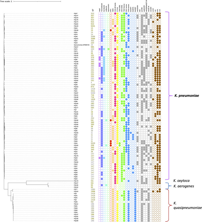 FIG 1