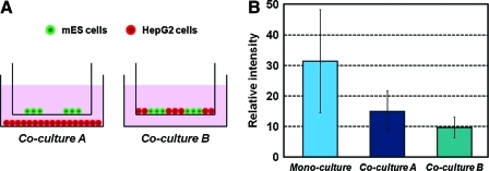 FIG. 6.