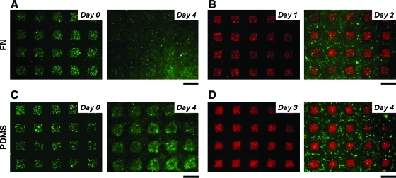 FIG. 4.