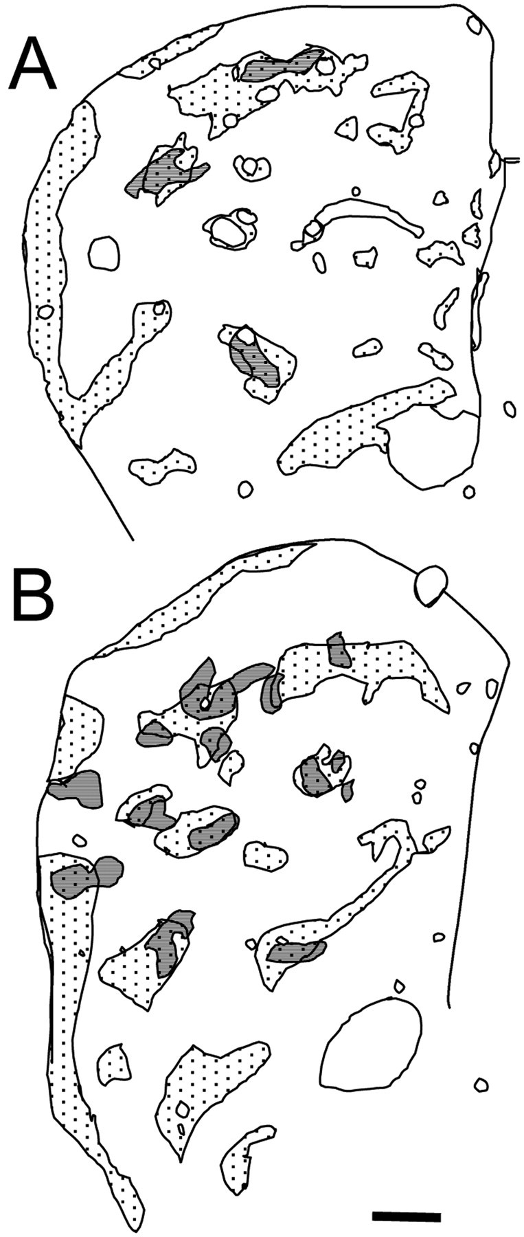 Fig. 8.