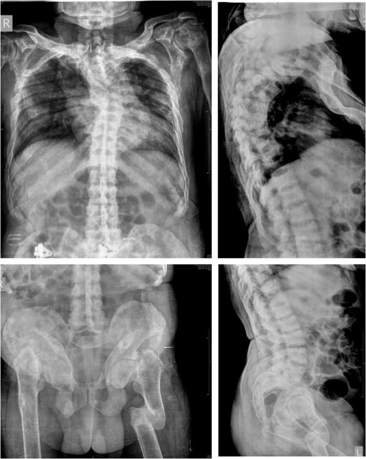 Fig. 4