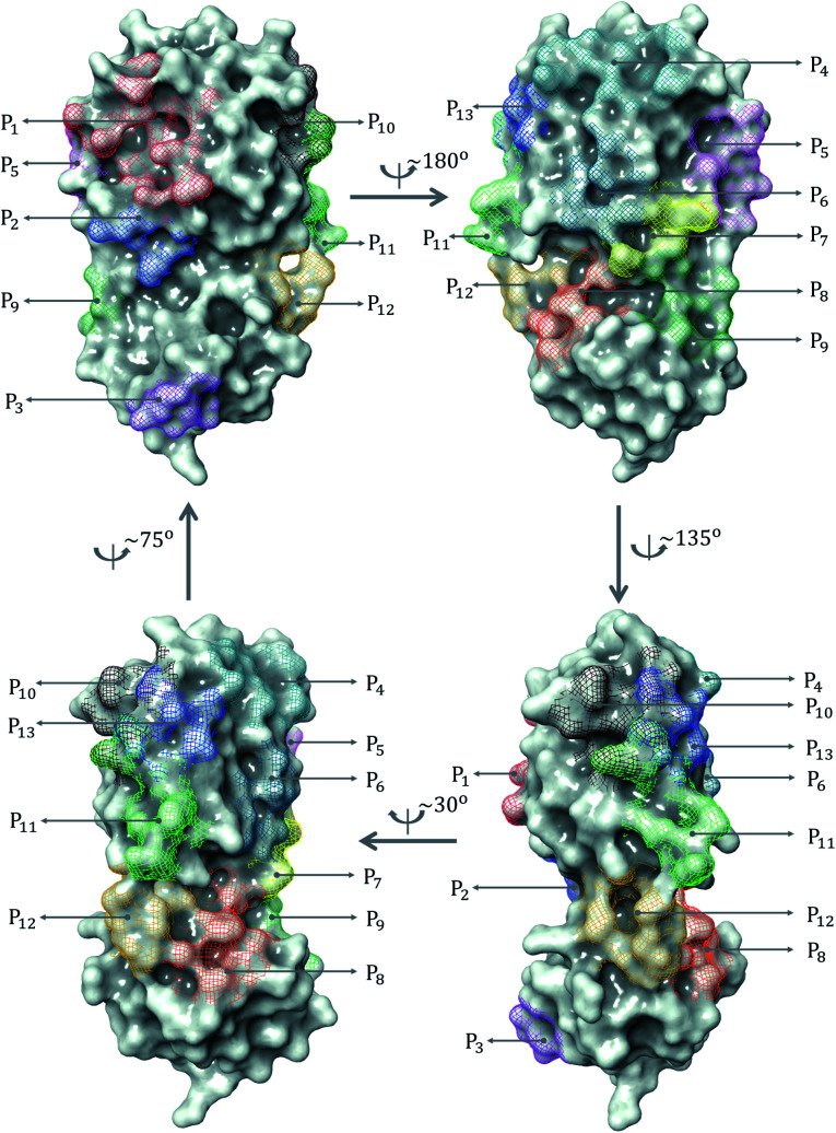 Fig. 1