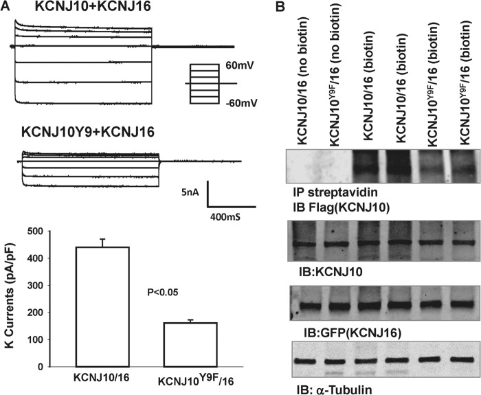 FIGURE 11.