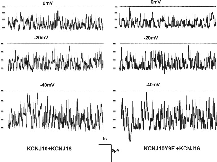 FIGURE 9.