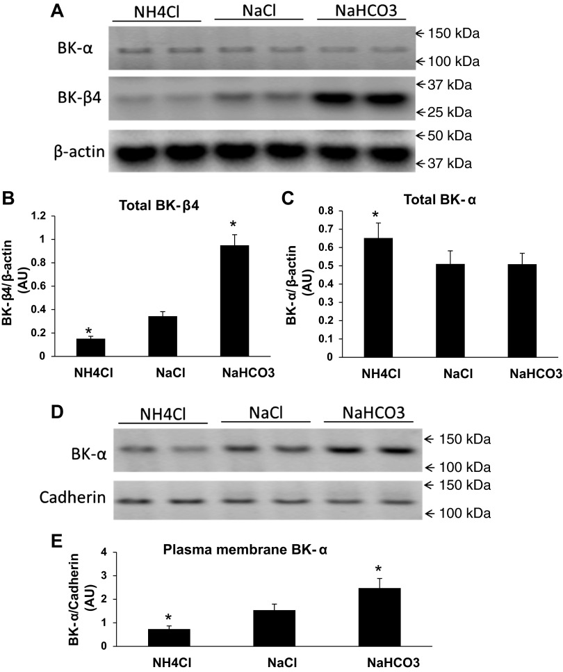 Fig. 8.