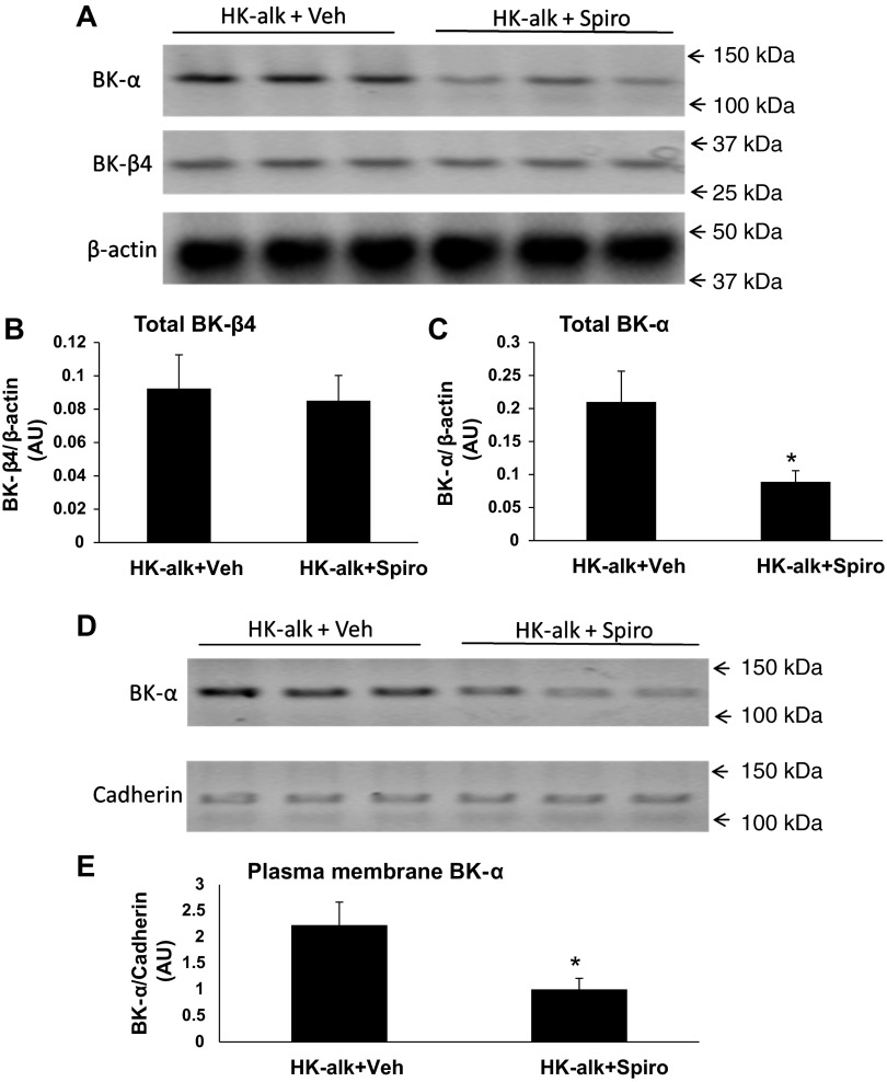 Fig. 10.