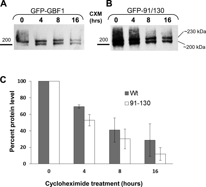 Fig. 9.