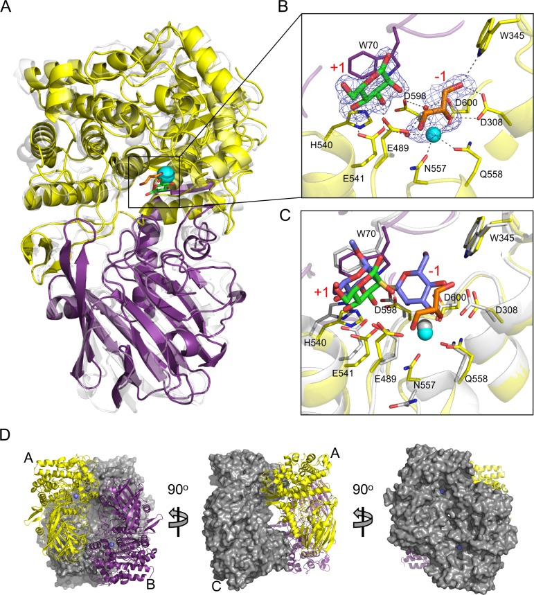 Fig 4