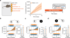 Extended Data Figure 4 |
