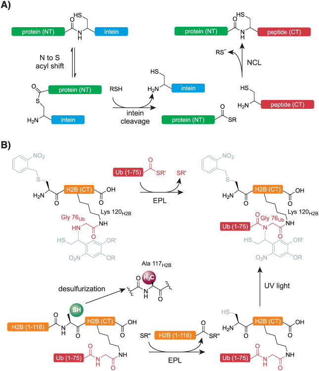 Scheme 2