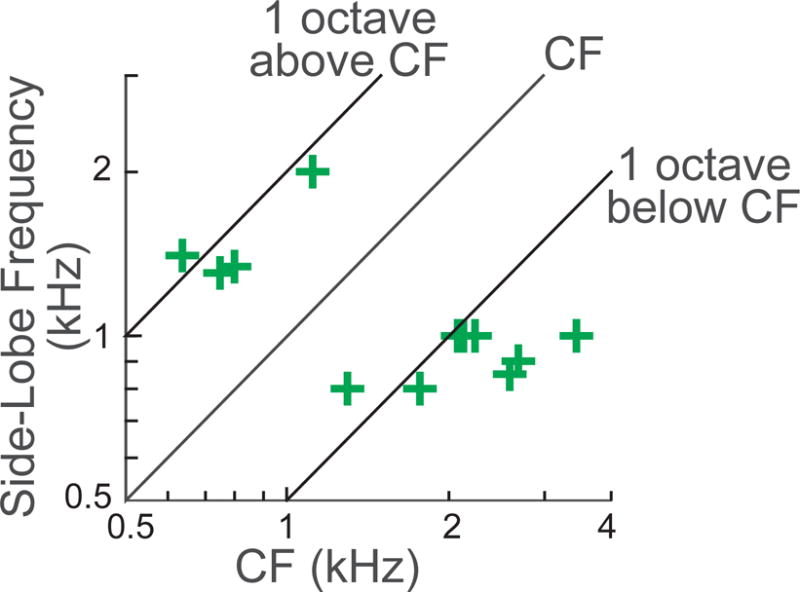 Fig. 5