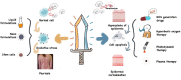 Image, graphical abstract