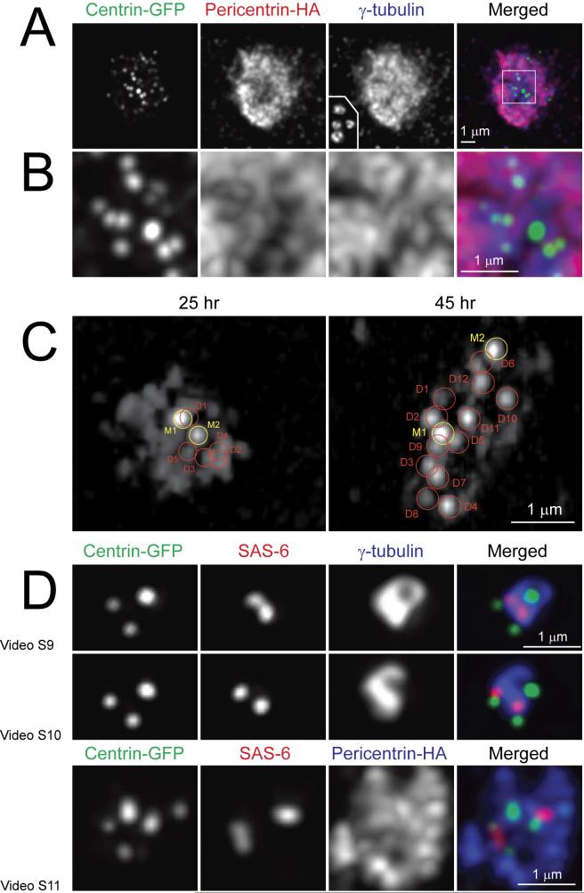 Figure 4