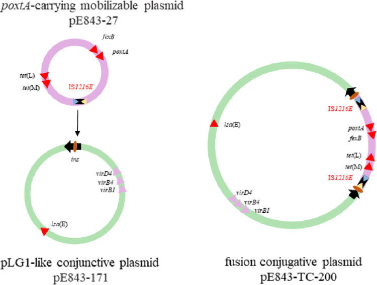 FIG 5