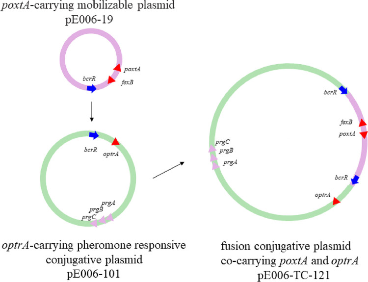 FIG 3