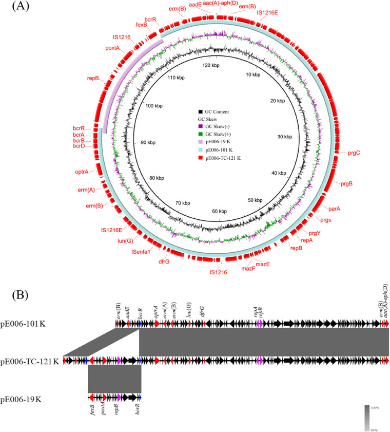 FIG 2