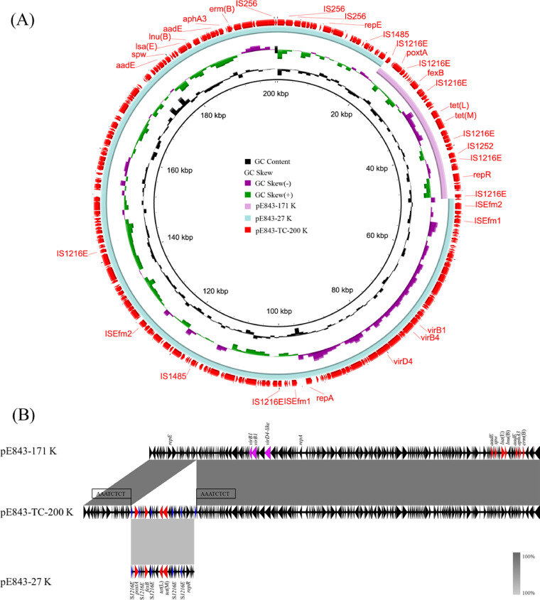 FIG 4