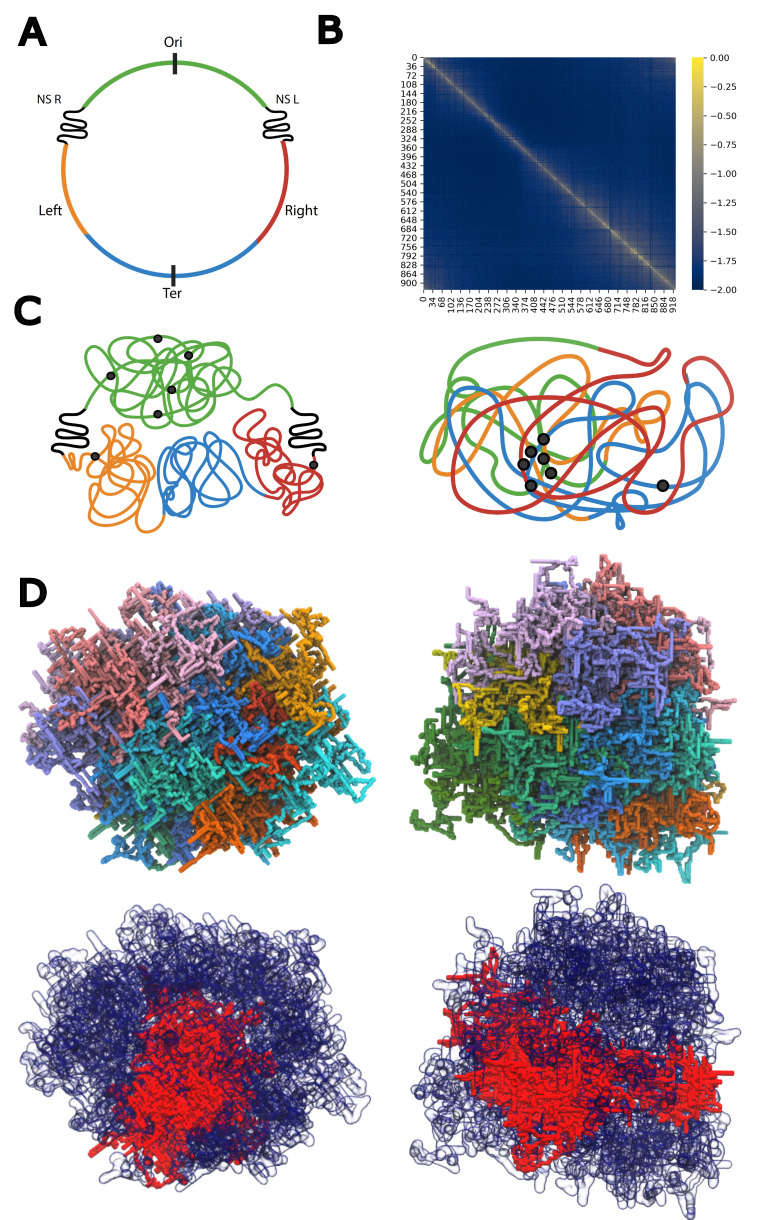 Fig 7