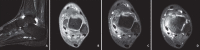 Figure 6.