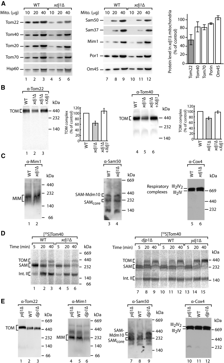 Figure 2