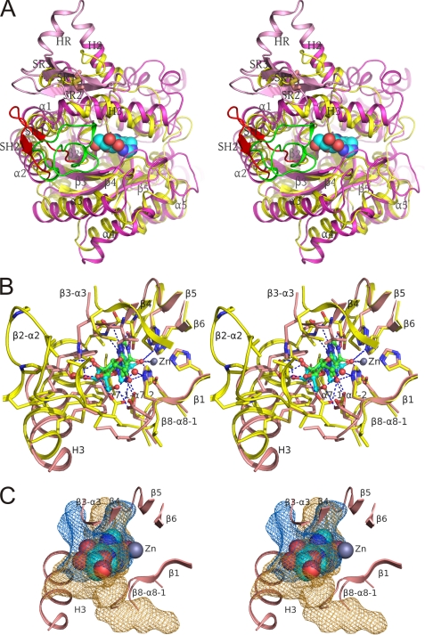 FIGURE 4.