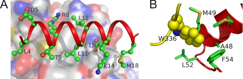 FIGURE 2.