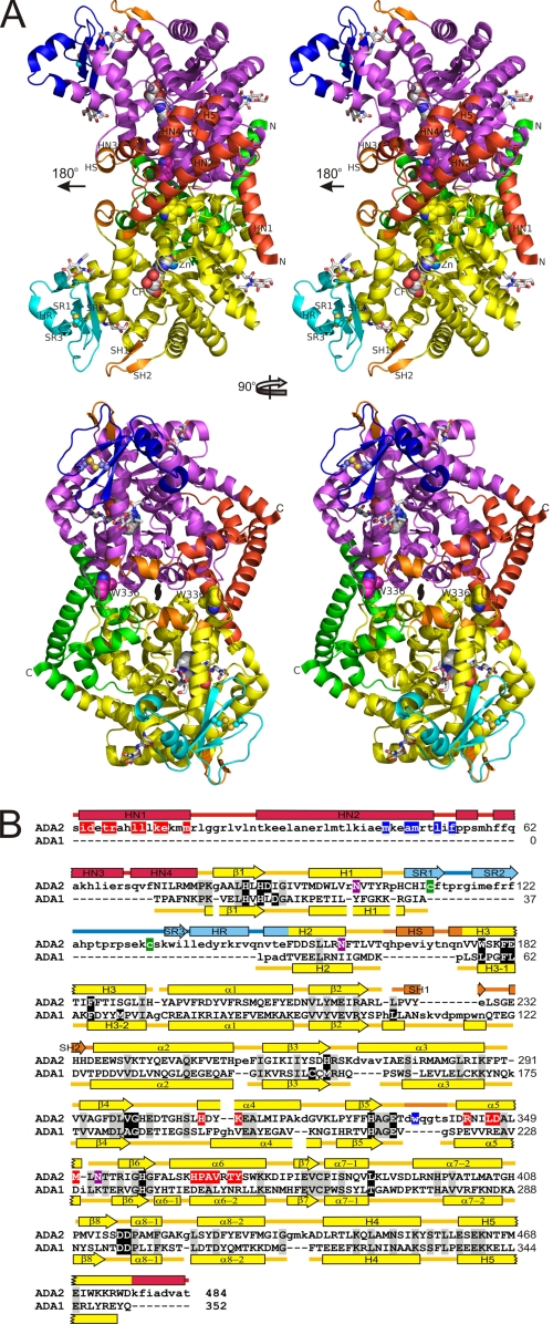 FIGURE 1.