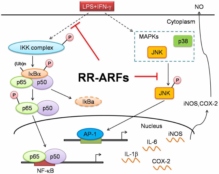 Figure 9