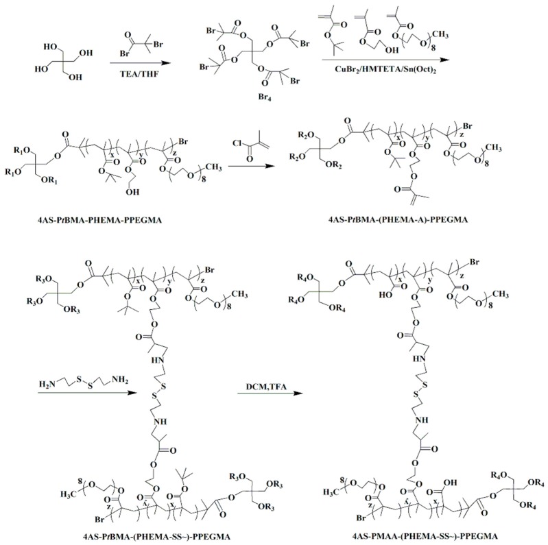 Scheme 2