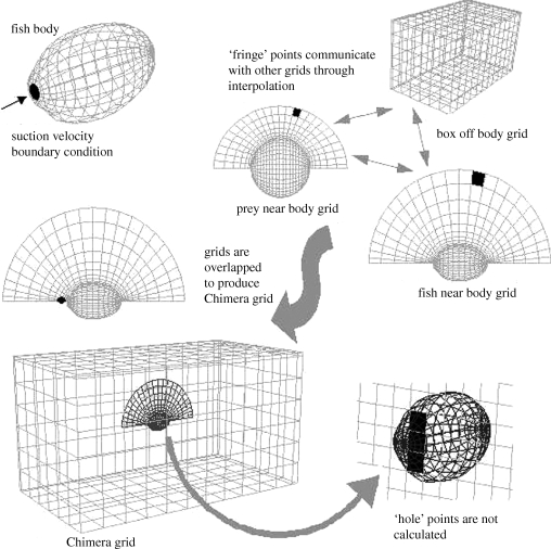 Figure 1.