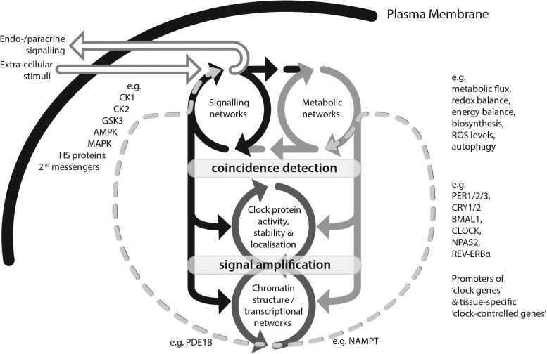 FIG. 4.