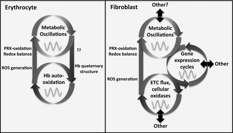 FIG. 3.