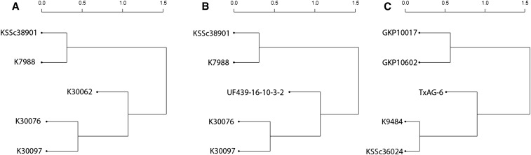 Figure 6