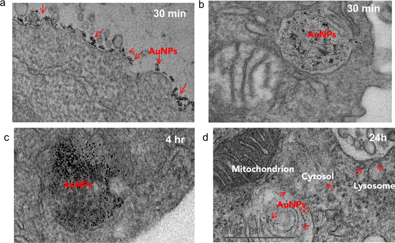 Figure 4.