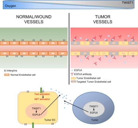 graphic file with name nihms922878u1.jpg