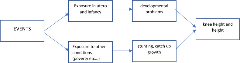 Fig 5