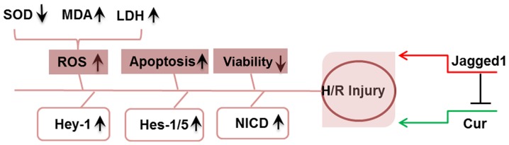 Figure 7.