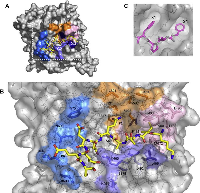 Fig. 4