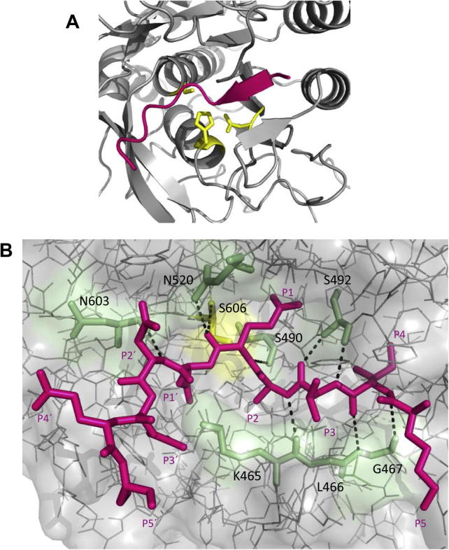 Fig. 3