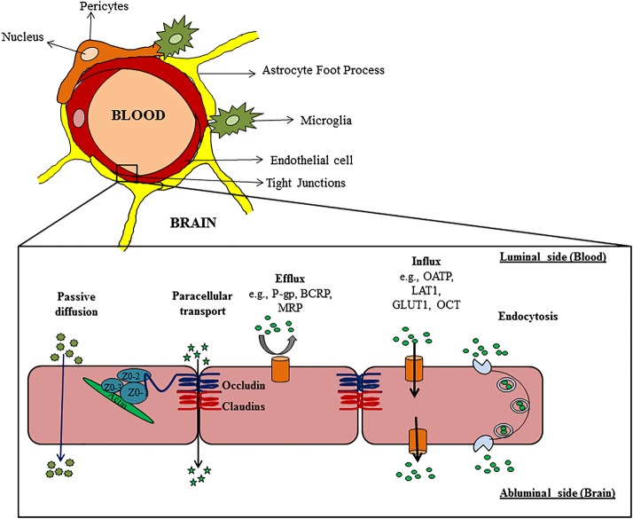 Fig. 1.