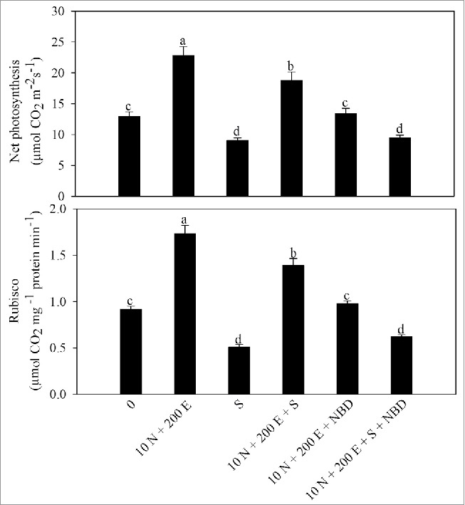 Figure 5.