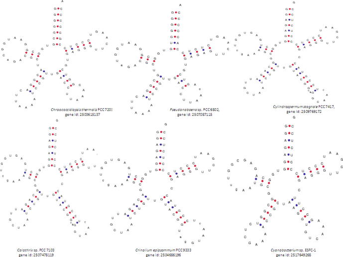 Supplementary figure 5