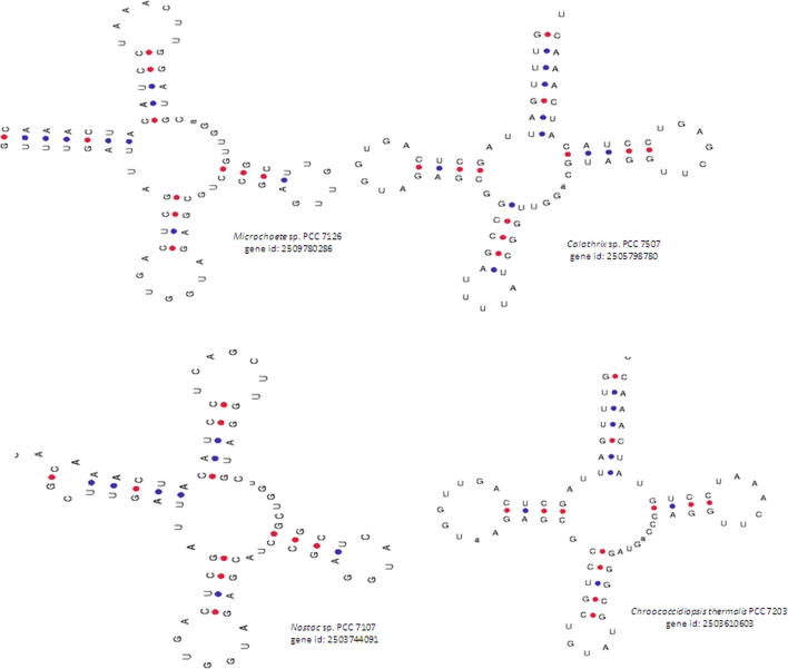 Supplementary figure 4