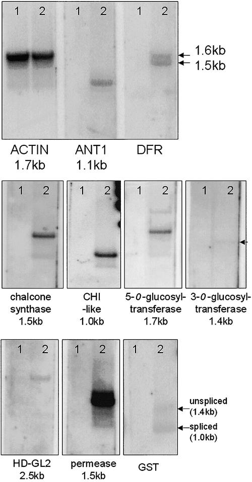 Figure 10.