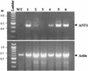 Figure 6.