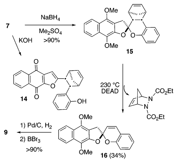 Scheme 4